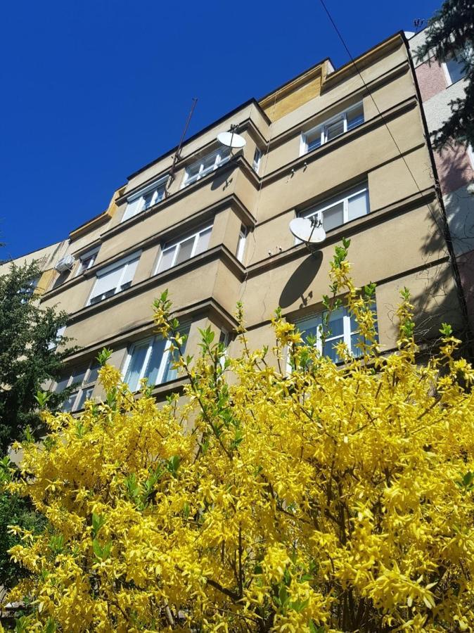 Апартаменти Затишні смарт-квартири в історичному центрі! Ужгород Екстер'єр фото